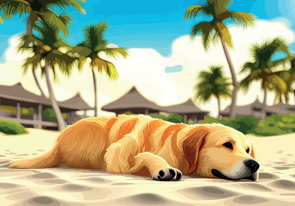 Summer: which are the main hazards for our beloved pets?