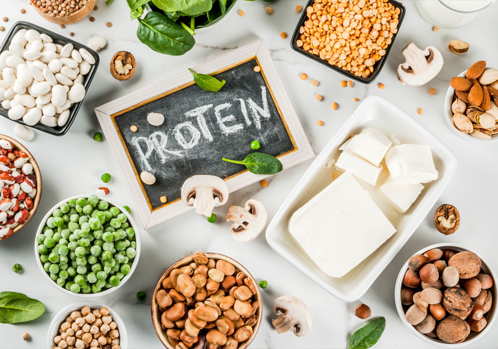 Exploring the importance and role of protein (+ the best plant-based ...